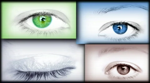 Eye collage  Stock-Footage 331957
