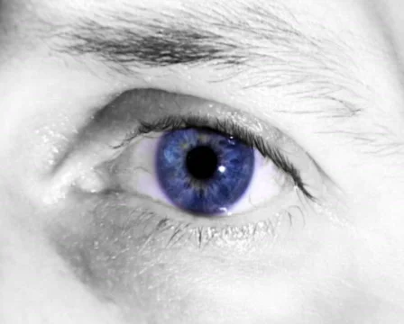 Eye Colors (PAL) Stock-Footage 307724