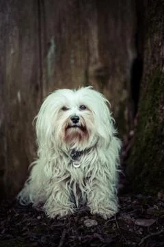 Eye contact Stock Photos