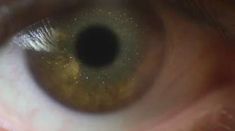 Eye cosmos eye of god science wonder Stock Footage