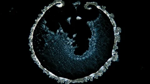 Eye Crystal Growth under Microscope timelapse 스톡 동영상 88711499