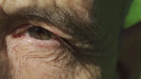The Eye of an elderly person Stock Footage 167316238