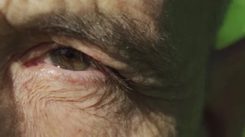 The Eye of an elderly person Stock Footage 167551175