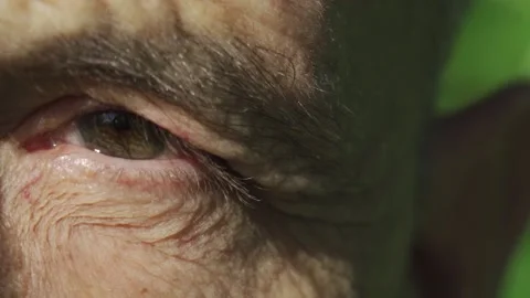 The Eye of an elderly person Stock Footage 171867904