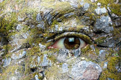 Eye on environment Illustrazione stock