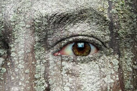 Eye on environment Stock Illustration