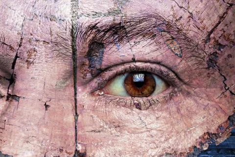 Eye on environment Illustrazione stock