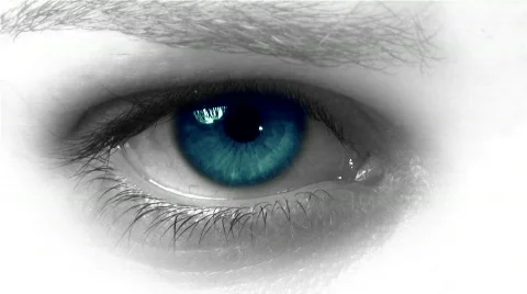 Eye Exam 库存影片 272617