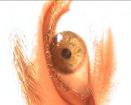 Eye Stock Footage 78952