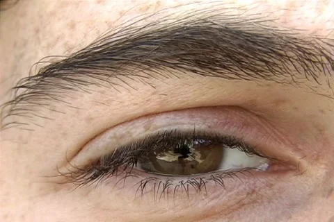 Eye Stock-Footage 1543957