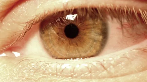 Eye Stock Footage 8600420