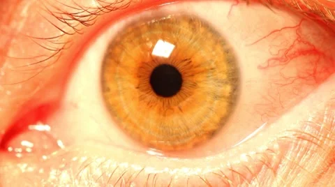 Eye Stock Footage 8659006