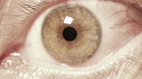 Eye Stock Footage 8666034