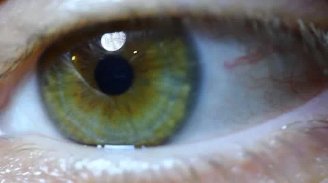 Eye 스톡 동영상 8966472