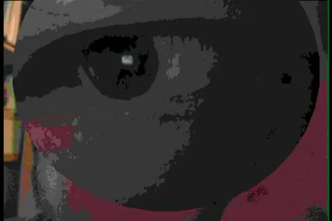 THE EYE Vidéo 10769363