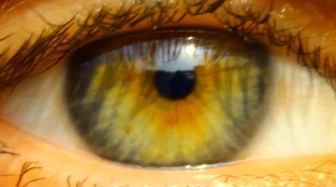 Eye Stock Footage