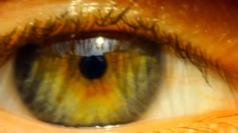 Eye Video stock 10890259