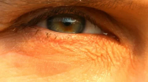 Eye Vidéo 10890400