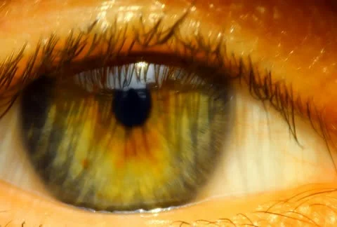 Eye Stock Footage 11153158