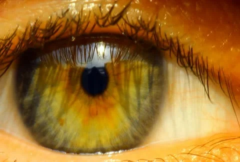 Eye Stock-Footage 11153173