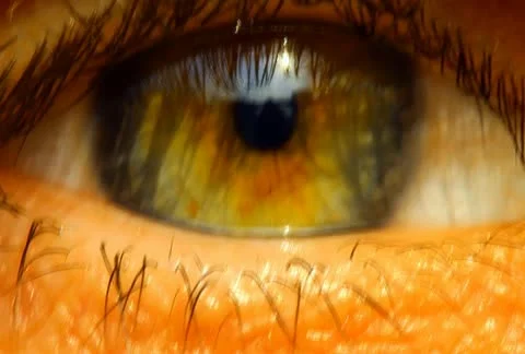 Eye Stock-Footage 11153182