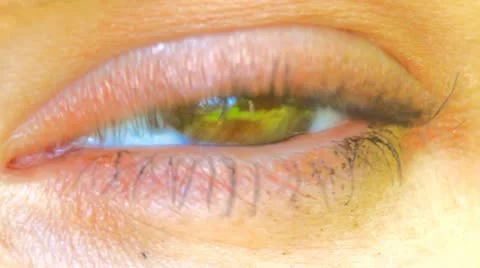 Eye Vidéo 11209836