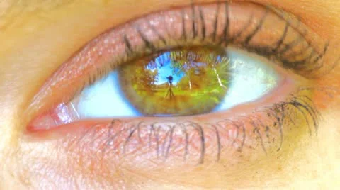 Eye Stock Footage 11210143