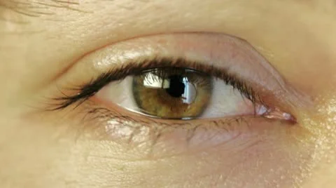 Eye Stock Footage 11361656