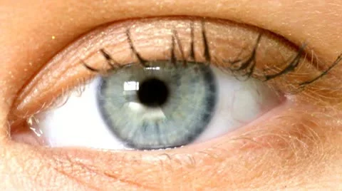 Eye Stock Footage 18181933