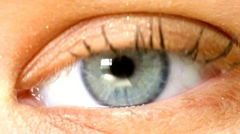 Eye Stock Footage 18181950