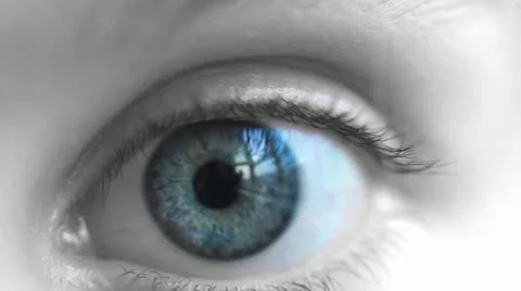 Eye Stock Footage 21087062