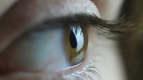 Eye Stockbeeldmateriaal 22325596