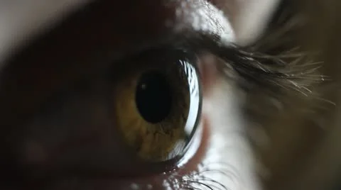 Eye Stockbeeldmateriaal 22325872