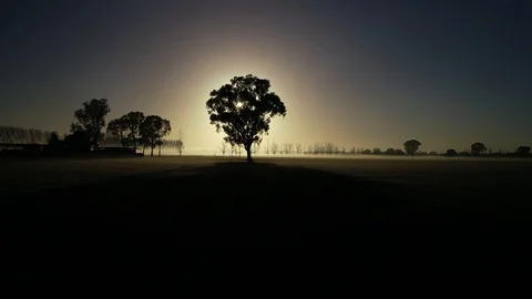 The eye Stock Footage 95703715