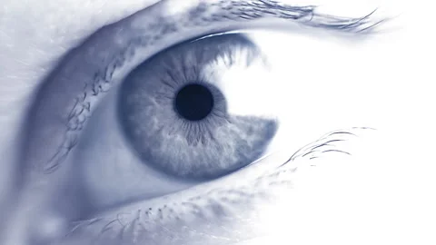 Eye Video stock 130198494