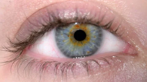 Eye  Stock Footage 210172073