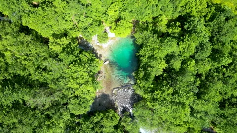 The Eye Of A Grasshopper V1 스톡 동영상 244998782