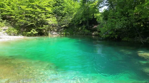 The Eye Of A Grasshopper V2 스톡 동영상 244998815