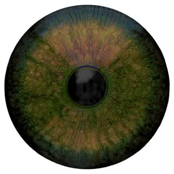 Eye Illustrazione stock