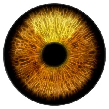 Eye Illustrazione stock