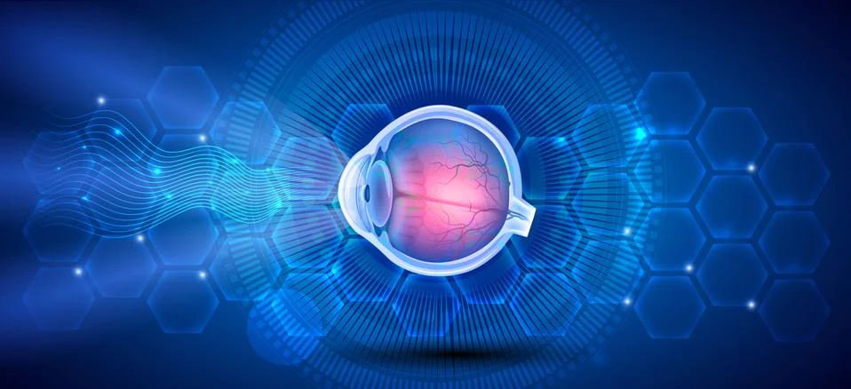 The eye Stock Illustration