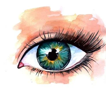 Eye Illustration