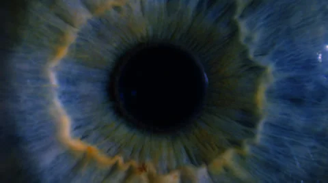 Eye iris and pupil macro Stock Footage 39328556