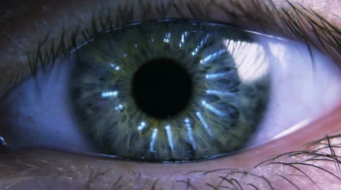 Eye iris and pupil macro with zoom. Stock Footage