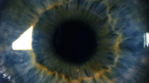 Eye iris and pupil macro Stock Footage 39328594