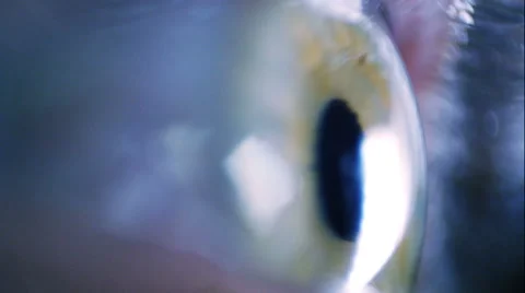Eye iris and pupil macro Video stock 43742373
