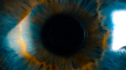 Eye iris and pupil macro . Many color correction options Video stock 57533209