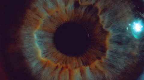 Eye iris and pupil macro . Many color correction options Stock Footage