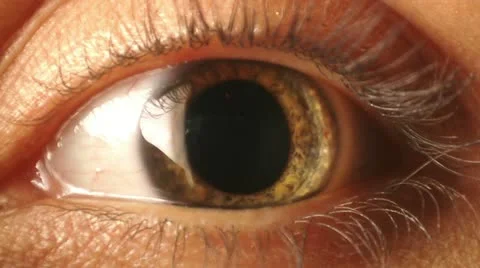 Eye iris contracting Stock Footage