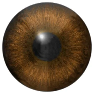 Eye iris generated hires texture Stock Illustration